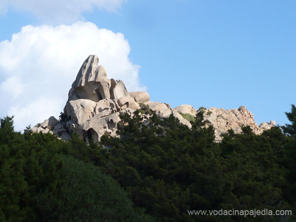 117 prst